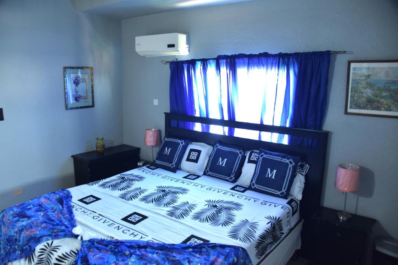 The President Room 5 Minutes To Devon House 4 Waterloo Avenue קינגסטון מראה חיצוני תמונה